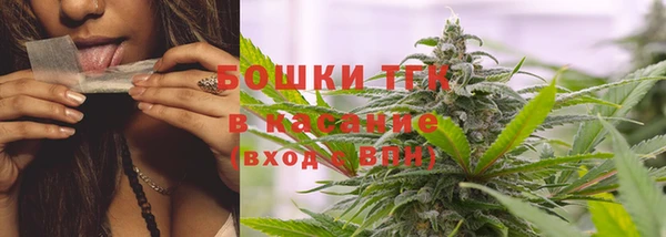 прущие крисы Пестово