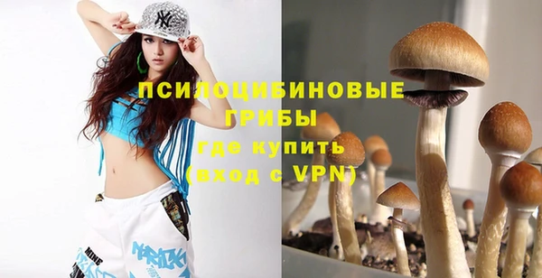 индика Покачи