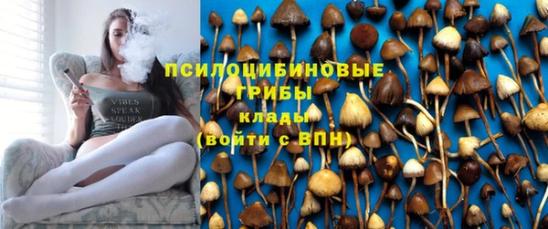 амф Видное