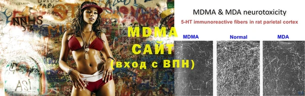 индика Покачи