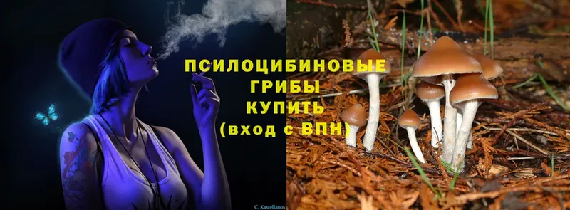 купить наркоту  Сим  площадка как зайти  Псилоцибиновые грибы Cubensis 